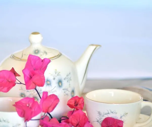 Marina's 阿佐里姆诺斯